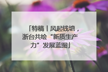 特稿丨风起钱塘，浙台共绘“新质生产力”发展蓝图
