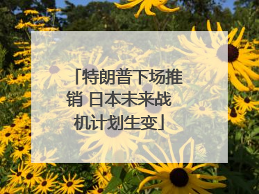 特朗普下场推销 日本未来战机计划生变