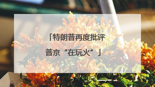 特朗普再度批评普京“在玩火”