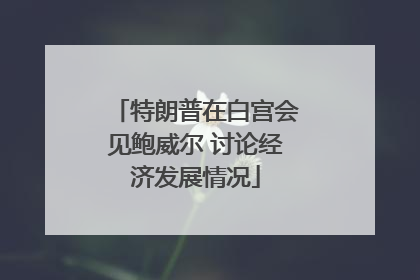 特朗普在白宫会见鲍威尔 讨论经济发展情况