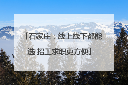 石家庄：线上线下都能选 招工求职更方便