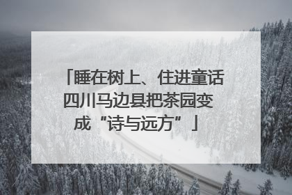 睡在树上、住进童话 四川马边县把茶园变成“诗与远方”