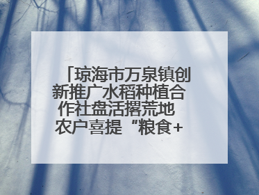 琼海市万泉镇创新推广水稻种植合作社盘活撂荒地 农户喜提“粮食+钞票”分红