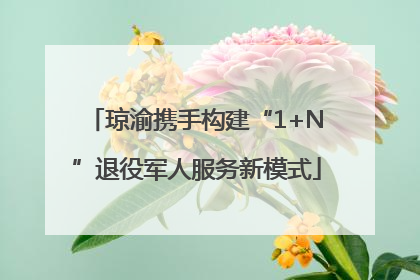 琼渝携手构建“1+N”退役军人服务新模式
