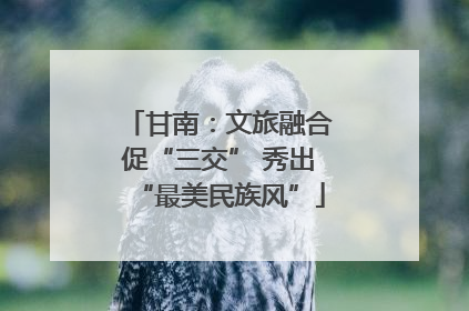 甘南：文旅融合促“三交” 秀出“最美民族风”