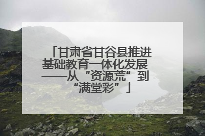 甘肃省甘谷县推进基础教育一体化发展——从“资源荒”到“满堂彩”