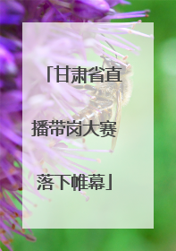 甘肃省直播带岗大赛落下帷幕