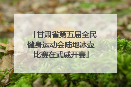 甘肃省第五届全民健身运动会陆地冰壶比赛在武威开赛