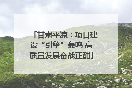 甘肃平凉：项目建设“引擎”轰鸣 高质量发展奋战正酣