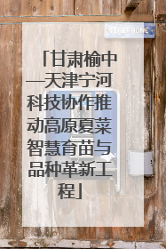 甘肃榆中—天津宁河科技协作推动高原夏菜智慧育苗与品种革新工程