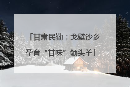 甘肃民勤：戈壁沙乡孕育“甘味”领头羊