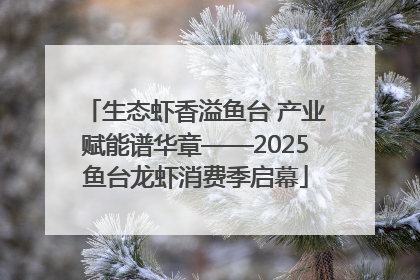 生态虾香溢鱼台 产业赋能谱华章——2025鱼台龙虾消费季启幕
