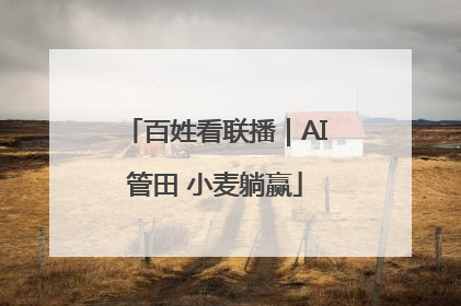 百姓看联播｜AI管田 小麦躺赢