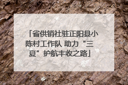 省供销社驻正阳县小陈村工作队 助力“三夏”护航丰收之路