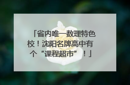 省内唯一数理特色校！沈阳名牌高中有个“课程超市”！