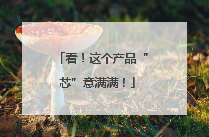 看！这个产品“芯”意满满！