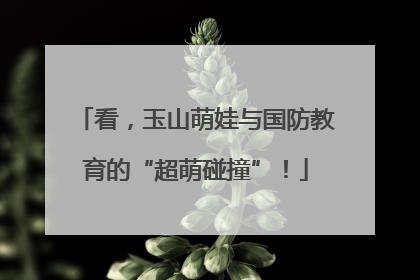 看，玉山萌娃与国防教育的“超萌碰撞”！