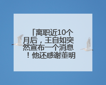 离职近10个月后，王自如突然宣布一个消息！他还感谢董明珠雷军，回应“没看过格力工资条”：真的不那么重要！