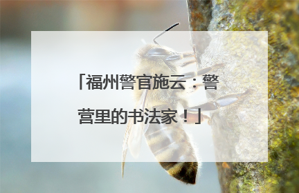 福州警官施云：警营里的书法家！