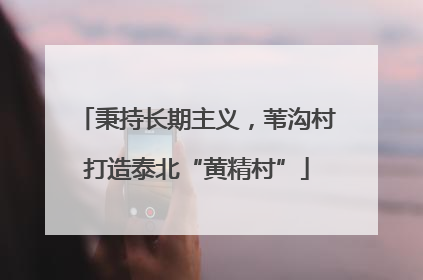 秉持长期主义，苇沟村打造泰北“黄精村”