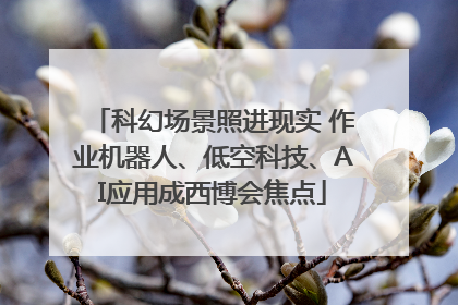 科幻场景照进现实 作业机器人、低空科技、AI应用成西博会焦点