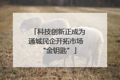 科技创新正成为通城民企开拓市场“金钥匙”