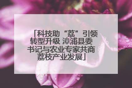 科技助“荔”引领转型升级 漳浦县委书记与农业专家共商荔枝产业发展
