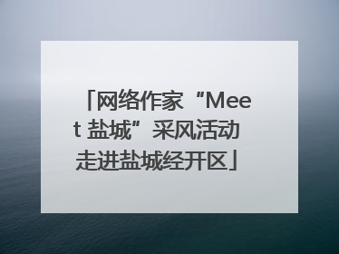 网络作家“Meet 盐城”采风活动走进盐城经开区