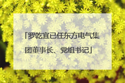 罗乾宜已任东方电气集团董事长、党组书记
