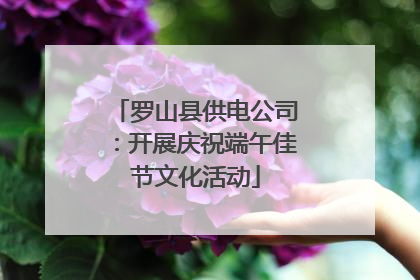 罗山县供电公司：开展庆祝端午佳节文化活动