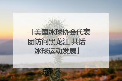 美国冰球协会代表团访问黑龙江 共话冰球运动发展