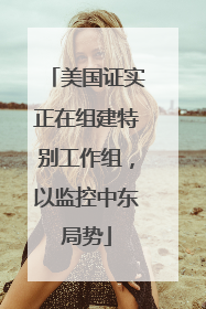 美国证实正在组建特别工作组，以监控中东局势