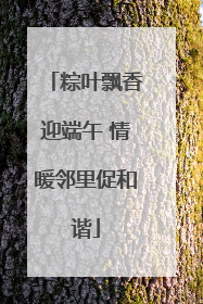 粽叶飘香迎端午 情暖邻里促和谐