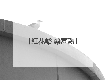 红花峪 桑葚熟