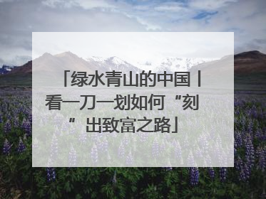 绿水青山的中国丨看一刀一划如何“刻”出致富之路