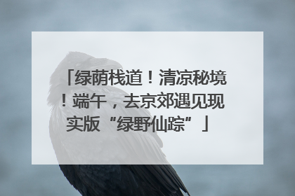 绿荫栈道！清凉秘境！端午，去京郊遇见现实版“绿野仙踪”