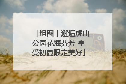 组图丨邂逅虎山公园花海芬芳 享受初夏限定美好
