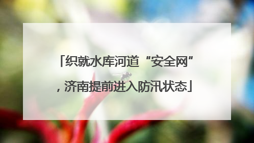 织就水库河道“安全网”，济南提前进入防汛状态