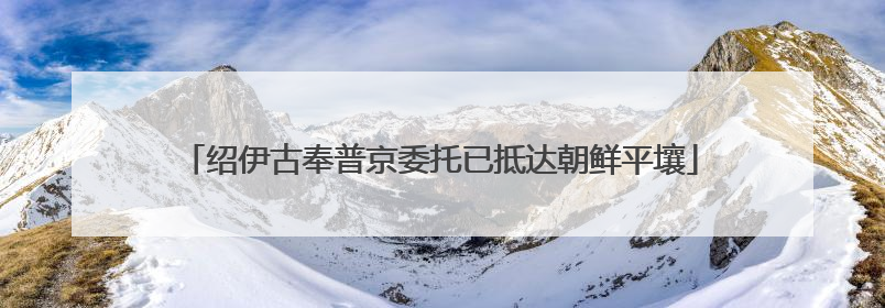 绍伊古奉普京委托已抵达朝鲜平壤
