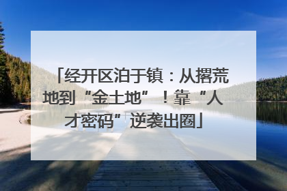 经开区泊于镇：从撂荒地到“金土地”！靠“人才密码”逆袭出圈