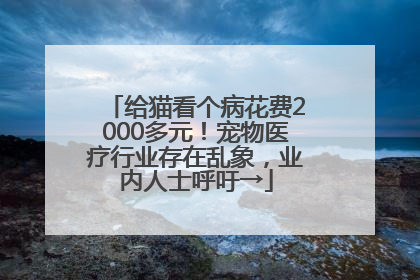 给猫看个病花费2000多元！宠物医疗行业存在乱象，业内人士呼吁→