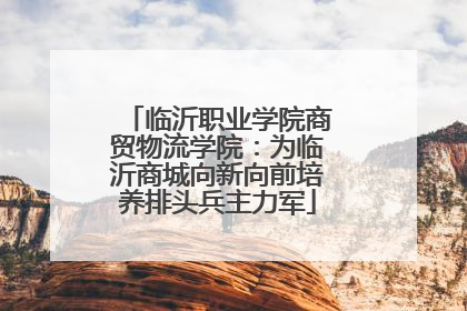 临沂职业学院商贸物流学院：为临沂商城向新向前培养排头兵主力军