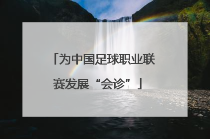 为中国足球职业联赛发展“会诊”