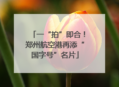 一“拍”即合！郑州航空港再添“国字号”名片