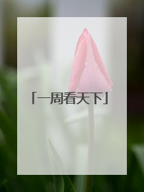 一周看天下