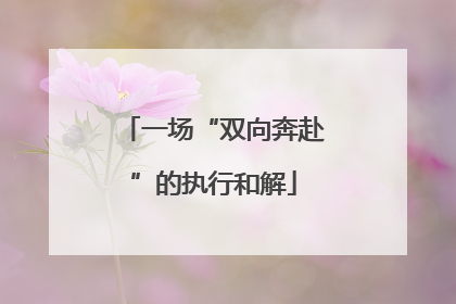 一场“双向奔赴”的执行和解