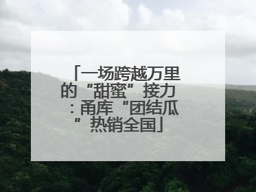 一场跨越万里的“甜蜜”接力：甬库“团结瓜”热销全国