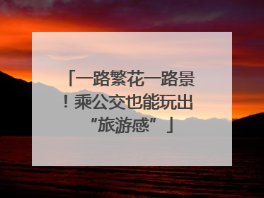 一路繁花一路景！乘公交也能玩出“旅游感”