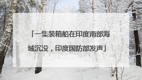 一集装箱船在印度南部海域沉没，印度国防部发声