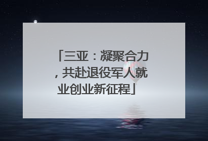 三亚：凝聚合力，共赴退役军人就业创业新征程